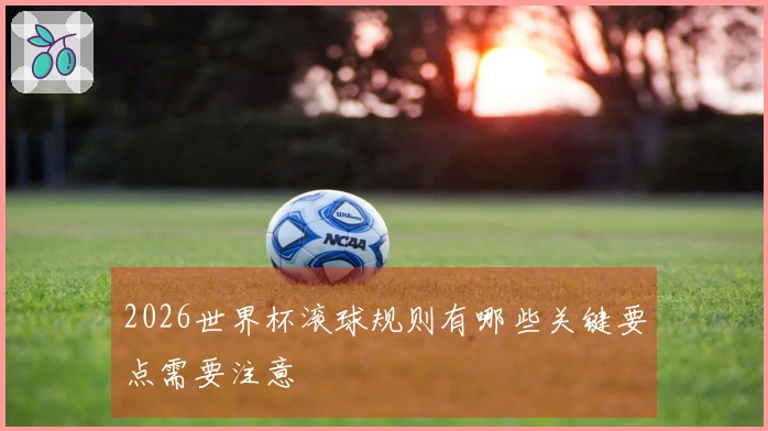 2026世界杯滚球规则有哪些关键要点需要注意