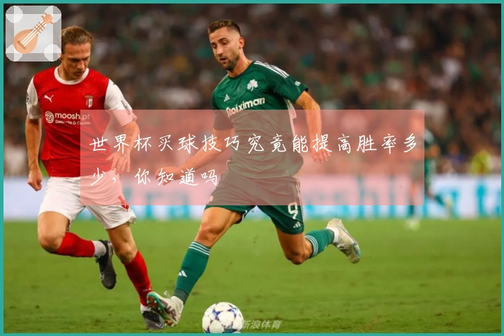世界杯买球技巧究竟能提高胜率多少，你知道吗